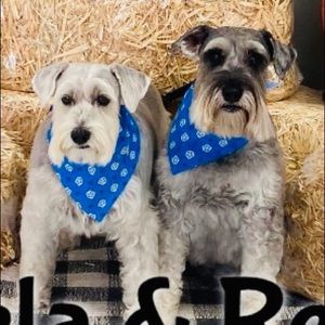 Meet your Posher, Letty